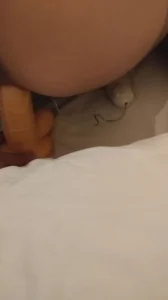 丝袜女2