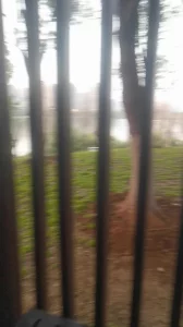 大白天公园后入人妻母狗，露脸疯狂大叫